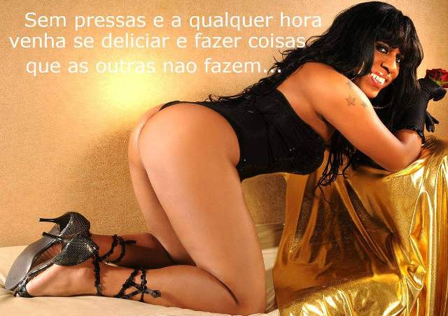 ACOMPANHANTES TRAVESTIS